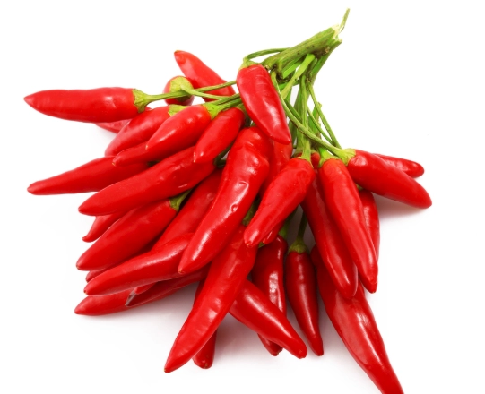 辣椒盆栽澆水頻率