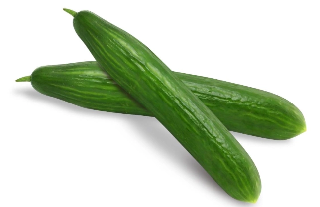 小黄瓜种植方法