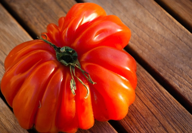 番茄種植方法 番茄種植方法