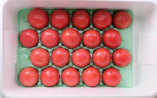 番茄病毒病症狀