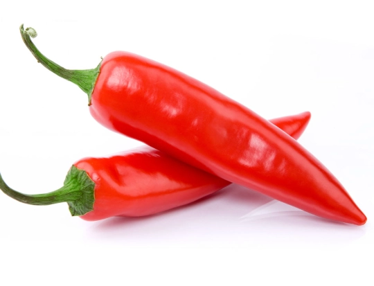 辣椒多久浇一次水