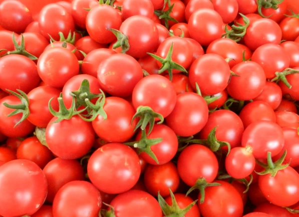 番茄營養價值 番茄營養價值