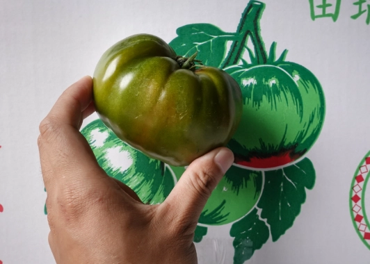 番茄開花管理 番茄開花管理