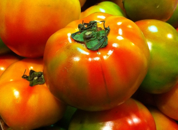 陽台種菜技巧 陽台種菜技巧