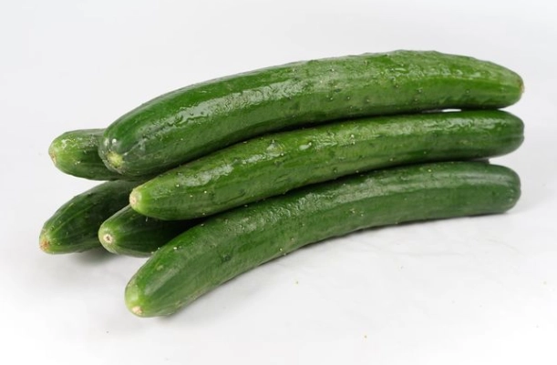 小黃瓜種植技巧 小黃瓜種植技巧