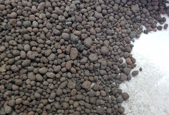 植物爛根處理 植物爛根處理