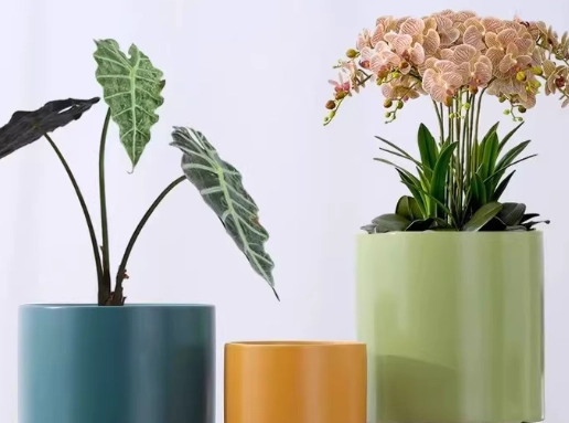 陶瓷盆栽推薦 陶瓷盆栽推薦