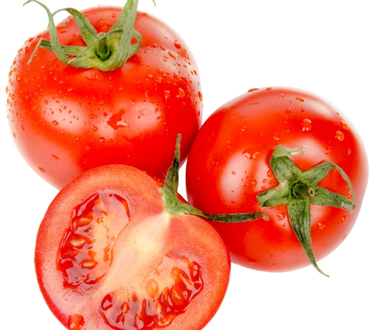 蕃茄培苗方法 蕃茄培苗方法