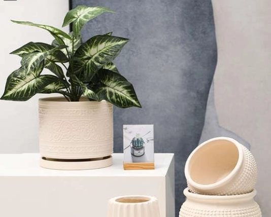 透氣盆栽推薦 透氣盆栽推薦