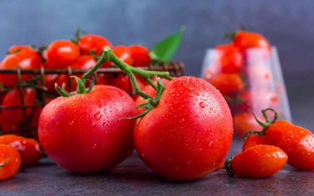 番茄結果期施肥