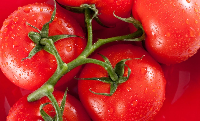 番茄結果方法 番茄結果方法