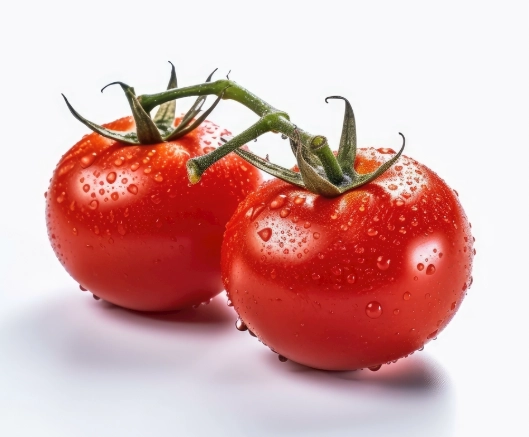 番茄种植肥料选择