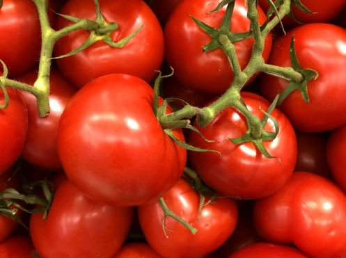 番茄結果問題 番茄結果問題