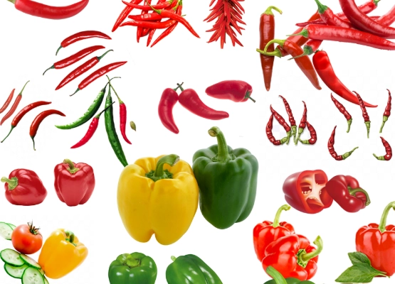 辣椒盆栽澆水頻率