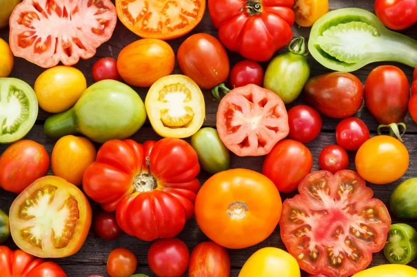 番茄育苗技巧 番茄育苗技巧