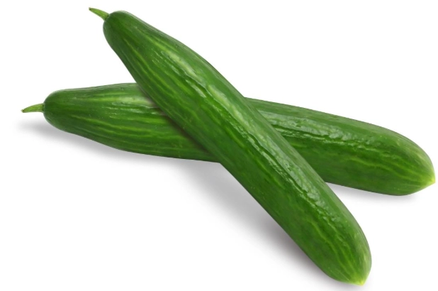 黃瓜發芽營養變化 黃瓜發芽營養變化