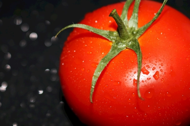 盆栽番茄技巧 盆栽番茄技巧