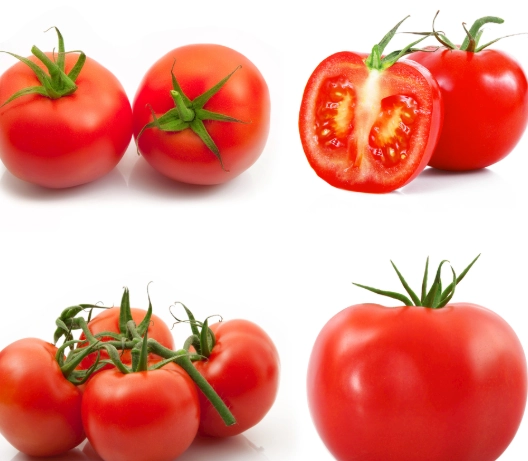 番茄結果問題 番茄結果問題