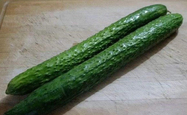 胡瓜栽培方法 胡瓜栽培方法