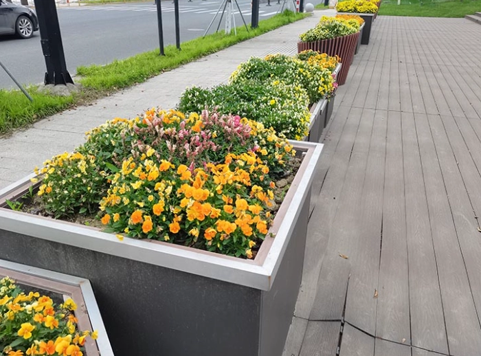 懶人花園設計 懶人花園設計