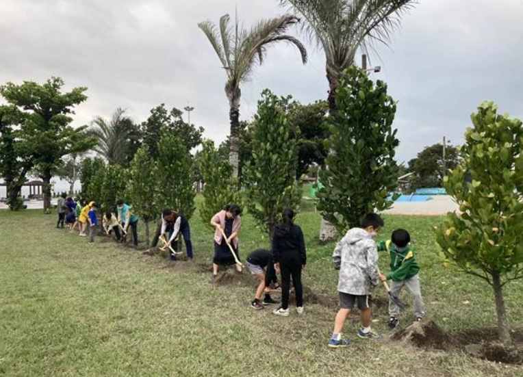 菲島福木照顧技巧