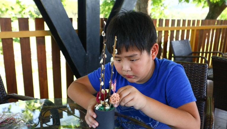 銀柳栽培技巧 銀柳栽培技巧