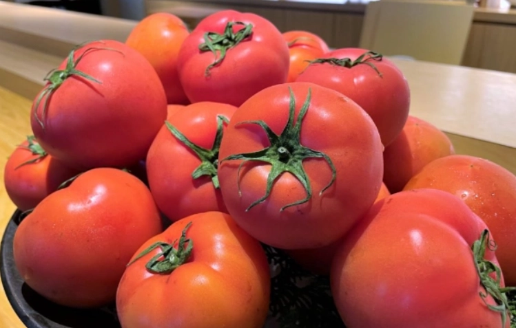 番茄變黑原因 番茄變黑原因