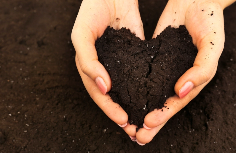 培養土使用技巧