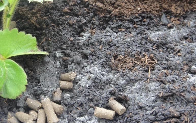 盆栽土壤養護 盆栽土壤養護