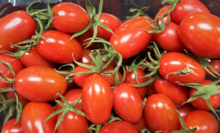 小番茄營養價值 小番茄營養價值