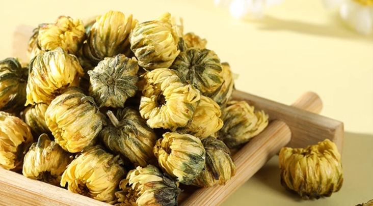 杭黃菊好處 杭黃菊好處