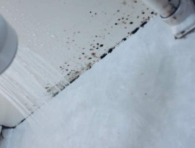 天花板霉斑處理