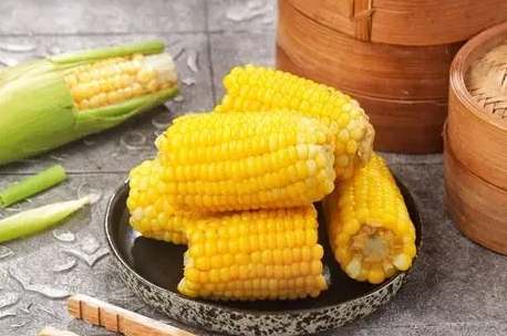 粟米與玉米差別 粟米與玉米差別