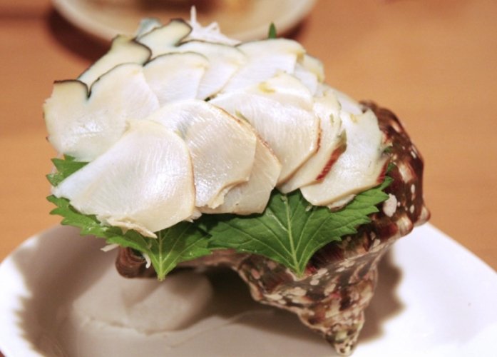 夜光貝市場行情