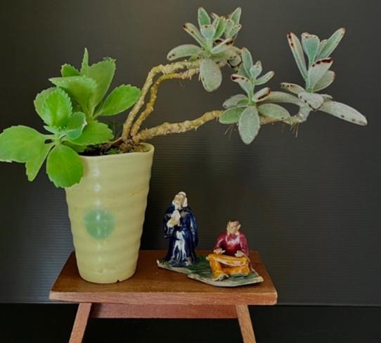 花盆底網安裝方法