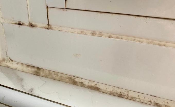 去除霉斑小蘇打