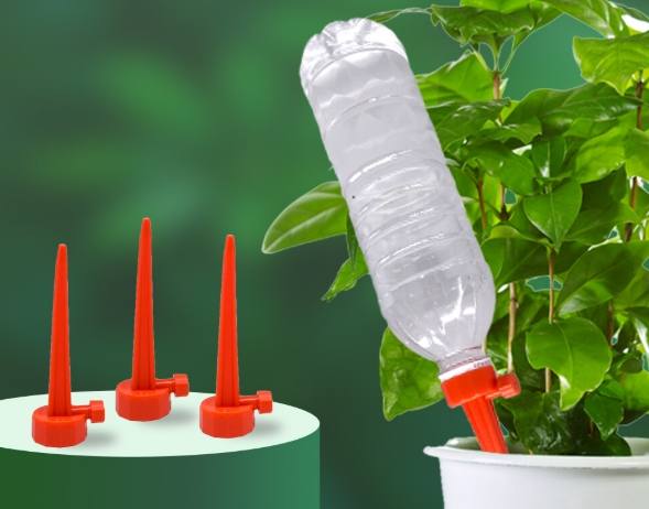 大盆栽澆水方法