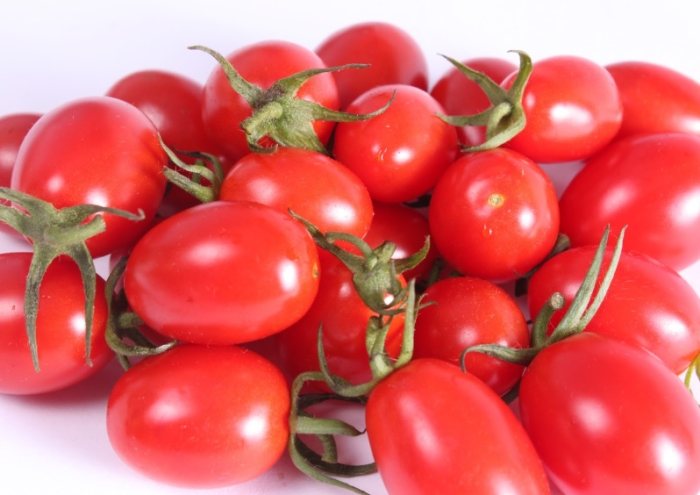 蕃茄種植方法 蕃茄種植方法