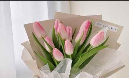 思念家人的花卉