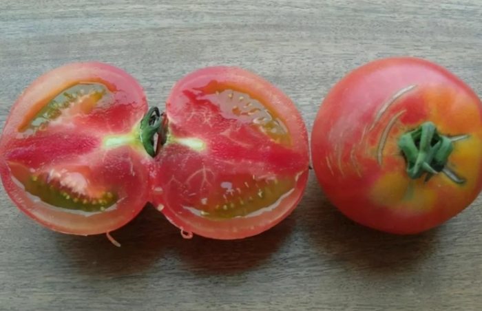 番茄籽食用方法