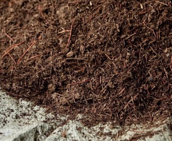 有機培養土推薦 有機培養土推薦