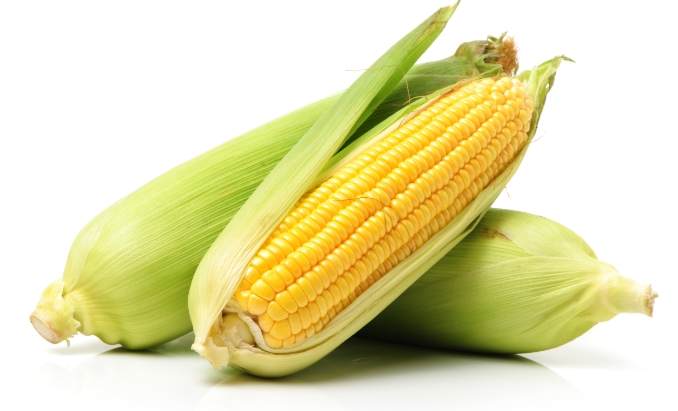 粟米與玉米差別 粟米與玉米差別