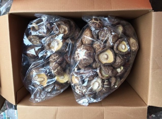 大陸香菇入境台灣