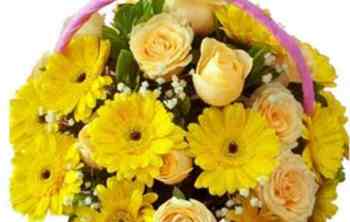 父親節送什麼花