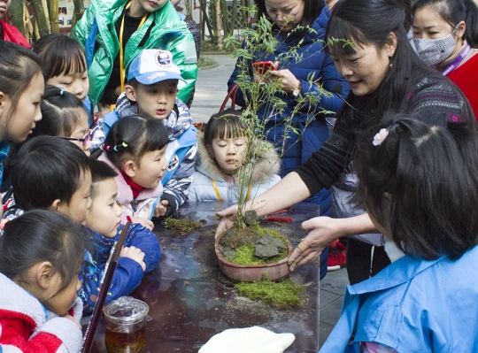 換盆最佳時間 換盆最佳時間