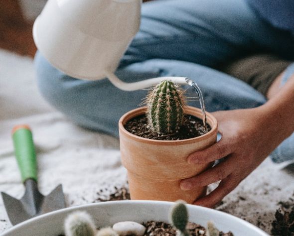 澆花用水 澆花用水