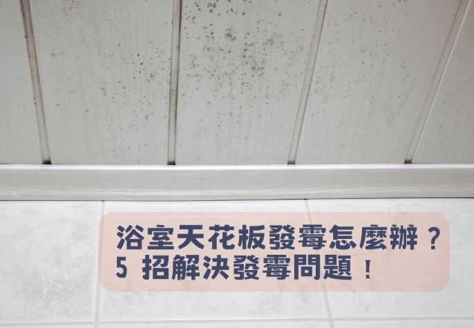 天花板霉斑處理