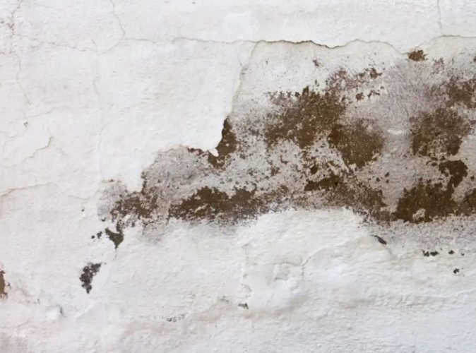 天花板霉斑清除