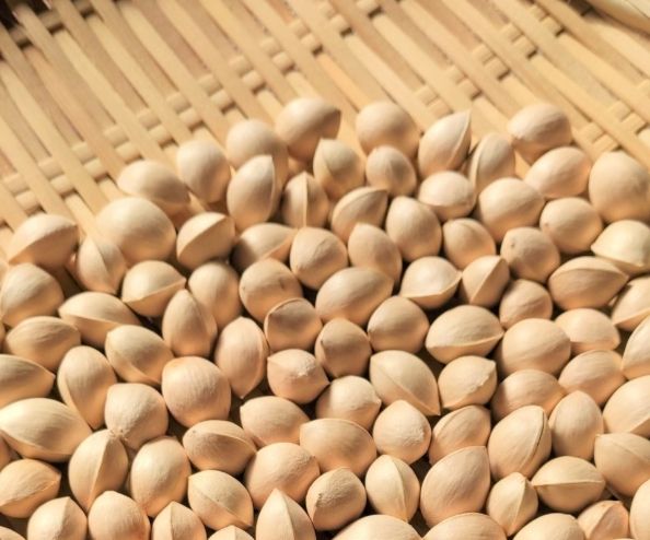 銀杏樹栽培技巧