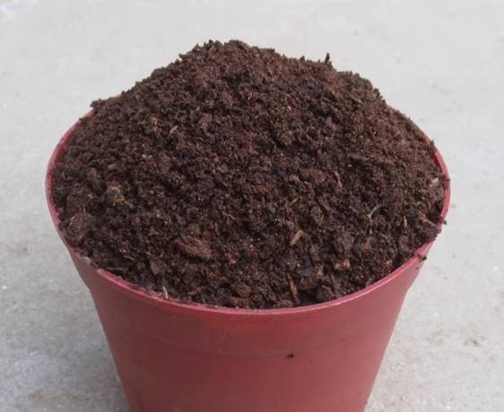 赤玉土使用教學 赤玉土使用教學